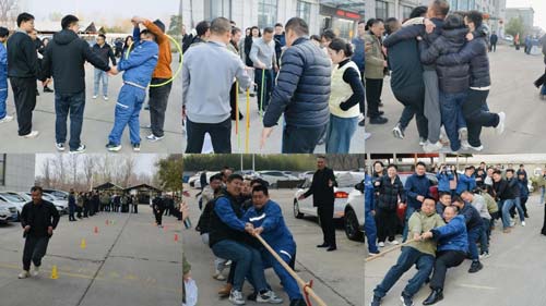 ���R�P�� Ȥ������ ��������������ÆT��Ȥζ�\�ӕ��A�M�ɹ�